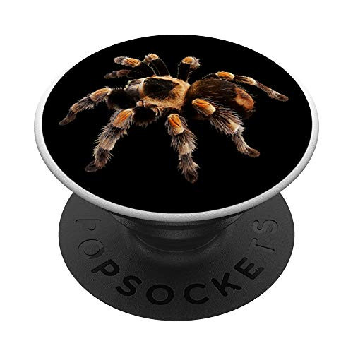 Pet Tarantula Lover Arachnid Tarantula Gift PopSockets Grip and Stand for Phones and Tablets