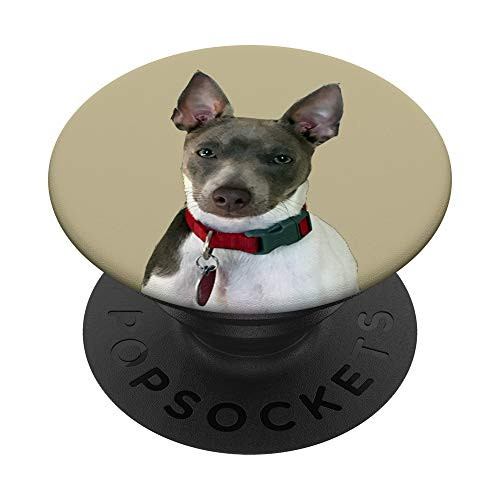 Rat Terrier Dog PopSocket PopSockets PopGrip Swappable Grip for Phones  and  Tablets