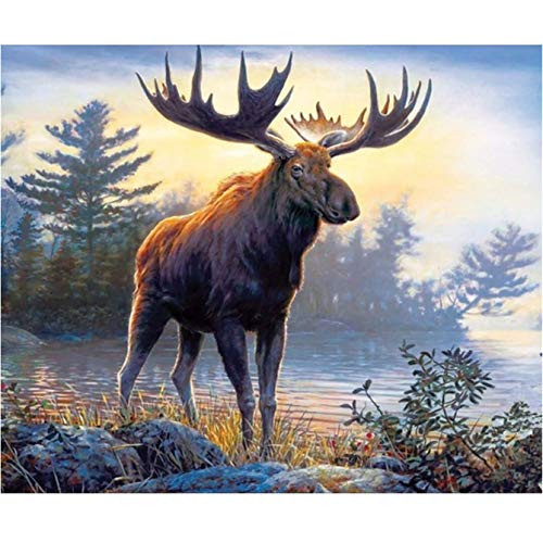 5D Diamond Painting Animal Paint with Diamonds DIY Diamond Art Moose Diymood painting by Number Kits Full Drill Rhinestone for Home Wall Decor 16x20inch