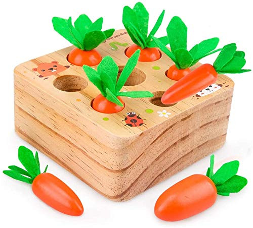 UMBWORLD Wooden Educational Toys for 1 2 3 Year Old Boys and Girls Carrots Harvest Montessori Shape Size Matching Game for Fine Motor Skill Developmental Preschool Learning Gifts  Carrots Harvest