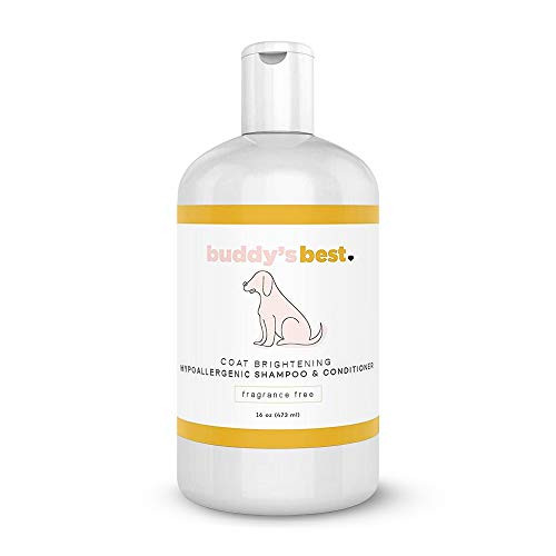 Buddys Best Dog Shampoo and Conditioner - Gentle Dog Shampoo  and  Conditioner with Oatmeal Ingredient for Dry and Sensitive Skin - Moisturizing Puppy Wash Shampoo Fragrance-Free 16oz