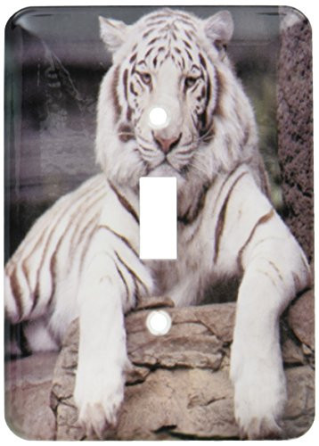 3dRose LLC lsp_88641_1 White Tiger At The Sacramento Zoo California Us05 Tau0014 Tananarive Aubert Single Toggle Switch