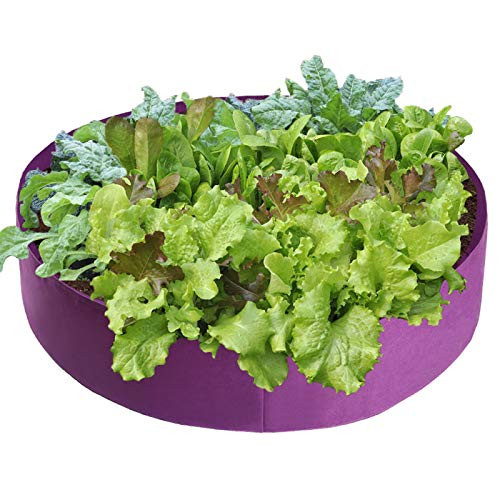 Firlar 2 Pack Fabric Raised Garden Bed 15 Gallon Planting Bed Round Raised Planter Grow Bag Garden Bed Bag Planter Container for Plants Herb Flowers and Vegetables Purple