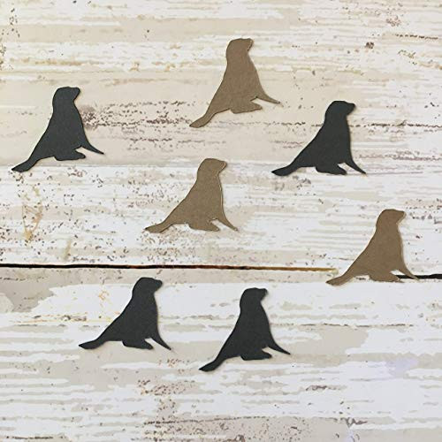 Sea Lion Confetti Animal Decorations Ocean Party Supplies Ocean Theme Sea Lion Cut Outs Beach Party Supplies Table Scatter Sea Lion Cut Out