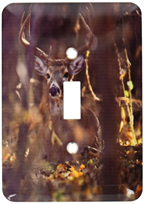3dRose LSP_94535_1 Hagerman NWR, White-Tailed Deer Buck Single Toggle Switch, Multicolor