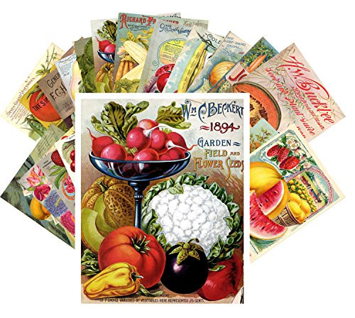 Postcard Set 24 cards Veges and Fruits Vintage Seed Pockets Gardens Postcard Set 24 cards Veges and Fruits Vintage Seed Pockets Gardens