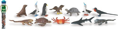Safari Ltd Galapagos TOOB