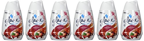 Glade Solid Air Freshener, Apple Cinnamon, 6 Ounce (Pack of 6)