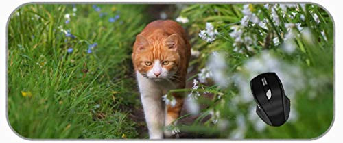 XXL Large Mouse Pad Depth of Field Cat Grass Garden Mouse Pad for Home Office Working