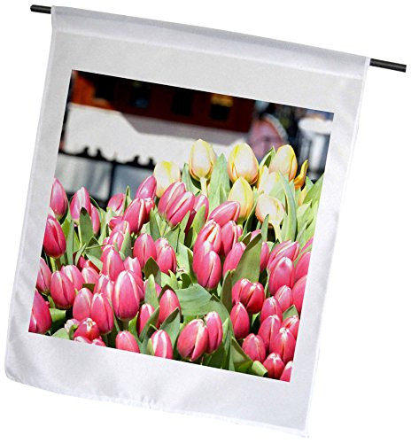 3dRose Netherlands Amsterdam Market Tulip Flowers - Lisa S. Engelbrecht - Garden Flag 12 by 18 inch