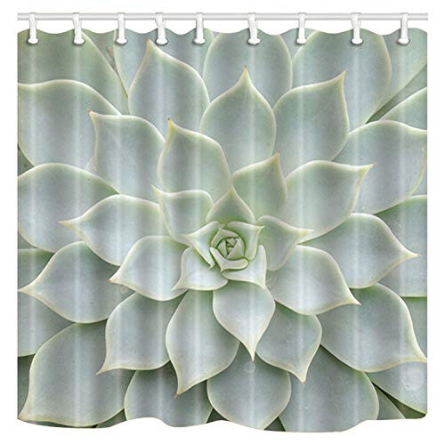 ChuaMi Polyester Fabric 69 x 70 Inches Shower Curtain Mildew Resistant Waterproof Bathroom Decoration Curtains with Hooks (Succulent Plants)