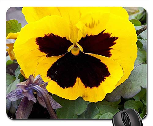 RWYZPAD Mouse Pad Flower Garden Flowers Plant Nature Non-Slip Gaming Mouse Pad Rubber Oblong Mat