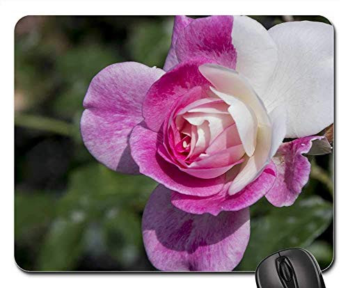RWYZPAD Mouse Pad Flower Nature Flora Petal Garden Blooming Floral Non-Slip Gaming Mouse Pad Rubber Oblong Mat