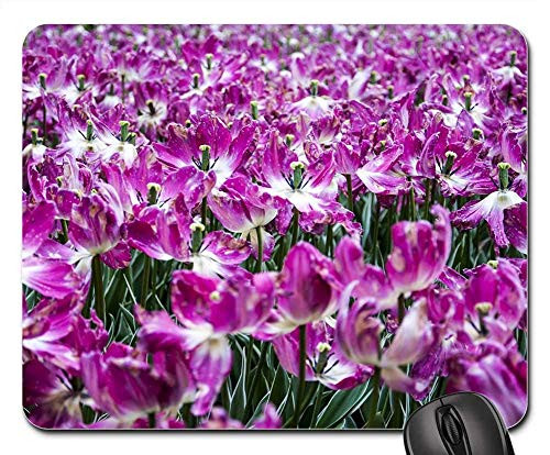 RWYZPAD Mouse Pad Flower Nature Plant Garden Petal Summer Blooming Non-Slip Gaming Mouse Pad Rubber Oblong Mat