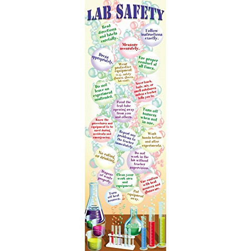 McDonald Publishing Science Lab Safety Colossal Poster