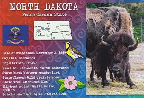 STATES3NDA NORTH DAKOTA - BISON - Peace Garden State - - A NORTH DAKOTA POSTCARD from Hibiscus Express