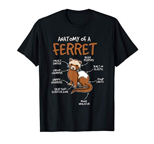 Kids Ferret Gift Ferret Stuff Anatomy Of A Ferret T-Shirt