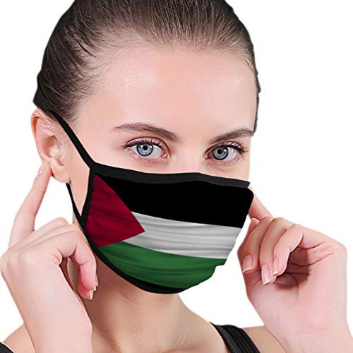 DISGOWONG Safety Shield Reusable Outdoor Covers Palestine Flag Flag of Palestine blowig Earloop Cover DISGOWONG Safety Shield Reusable Outdoor Covers Palestine Flag Flag of Palestine blowig Earloop Cover