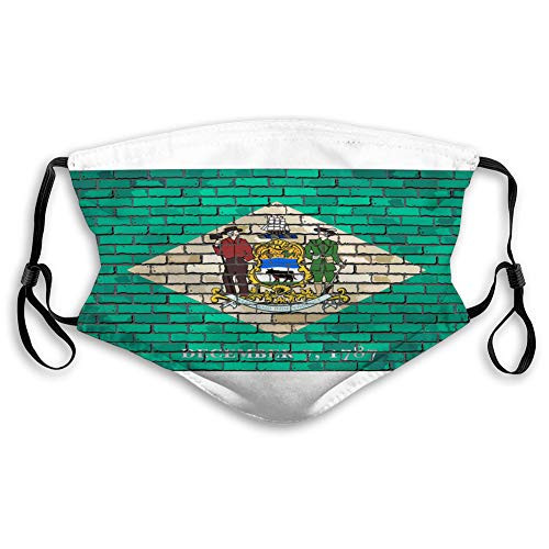 DISGOWONG Safety Shield Reusable Outdoor Covers Flag of Delaware on a Brick Wall Adjustable Covers DISGOWONG Safety Shield Reusable Outdoor Covers Flag of Delaware on a Brick Wall Adjustable Covers
