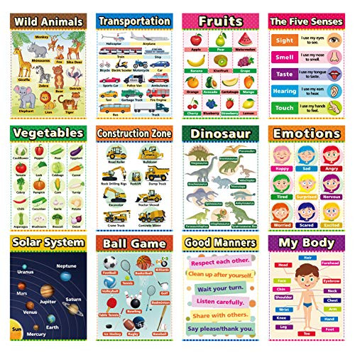 Educational Posters for Kindergarten Preschool Learning Posters Laminated Learning Charts for Toddlers Elementary Posters for Classroom School Supplies Includes Fruits Good Manners  12 Pack B