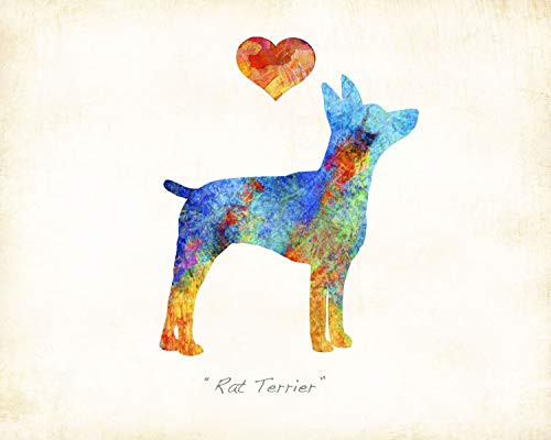 Rat Terrier Dog Breed Art Print by Dan Morris