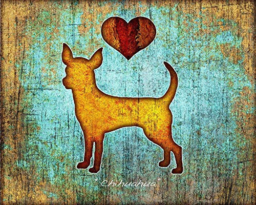 Chihuahua Dog Breed Art Print by Dan Morris