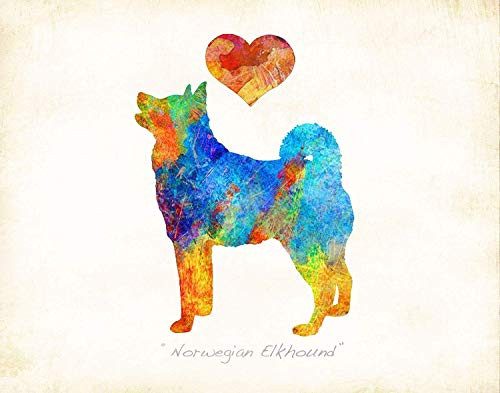 NORWEGIAN ELKHOUND Dog Breed Art Print by Dan Morris