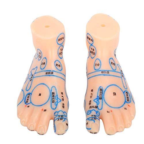 Feet Acupuncture Teaching Tool 1 Pair 13cm Pvc Feet Massage Acupoint Reflection Zone Model Teaching Tool Feet Model for School Salon Use
