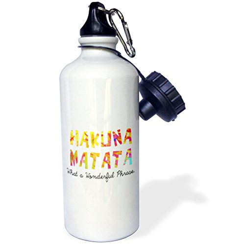 3dRose Hakuna Matata What a wonderful phrase Sports Water Bottle 21 oz Multicolor