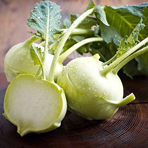 Early White Vienna Kohlrabi - 1 LB Bulk ~112000 Seeds - Open Pollinated Non-GMO Farm  and  Vegetable Gardening  and  Micro Greens Seeds