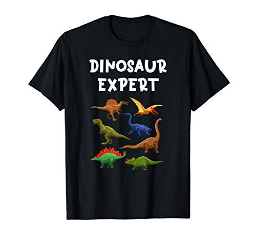 Dinosaur Expert Trendy Paleontologist Dinosaur Lover Gift T-Shirt