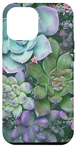 iPhone 12 Pro Max Succulent Cactus Garden Watercolor Colorful cacti Plants Case