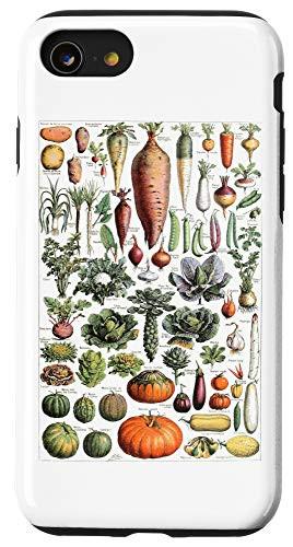 iPhone SE  2020    7   8 Kitchen Vegetable Identification Reference Chart Botanical Case
