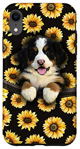 iPhone XR Bernese Mountain Dog Sunflower Case