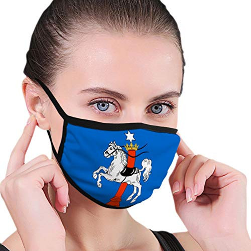 GIRDEAR Safety Cover Reusable Outdoor Covers Flag of wolfenbuettel in Lower Saxony Germany Reusable Cover GIRDEAR Safety Cover Reusable Outdoor Covers Flag of wolfenbuettel in Lower Saxony Germany Reusable Cover