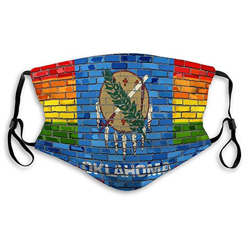 Adjustable Safety Covers for Most People Brick Wall Oklahoma Gay Flags Brick Wall Oklahoma Gay Flags Rainbow Flag Brick Textured Background Reusable Cover