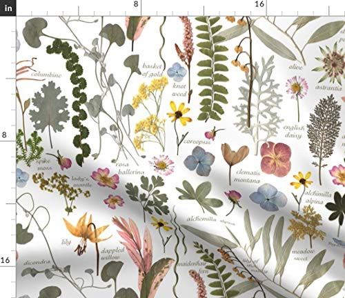Spoonflower Fabric - Garden Text Botanical Flowers Greenery Leaves Plants Printed on Petal Signature Cotton Fabric by The Yard - Sewing Quilting Apparel Crafts Decor