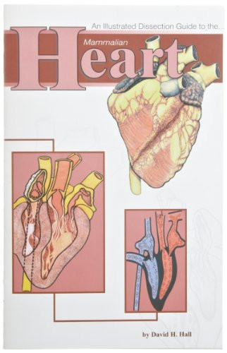 Frey Scientific 597045 Mini-Guide to Mammalian Heart Dissection