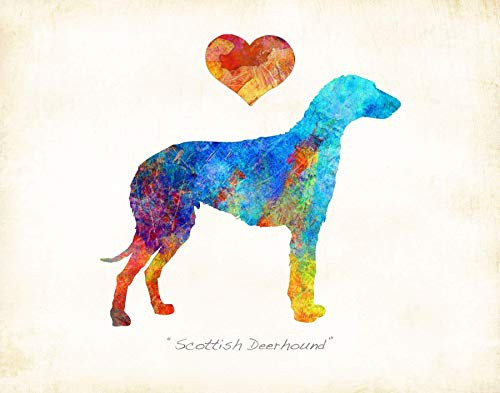 Scottish Deerhound Dog Breed Watercolor Art Print by Dan Morris