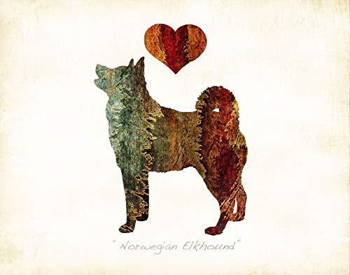 NORWEGIAN ELKHOUND Dog Breed Watercolor Art Print by Dan Morris