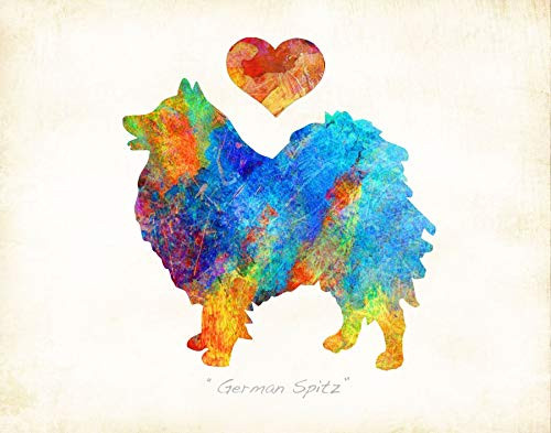 German Spitz Dog Breed Watercolor Art Print by Dan Morris