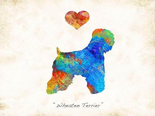 Wheaten Terrier Dog Breed Watercolor Art Print by Dan Morris