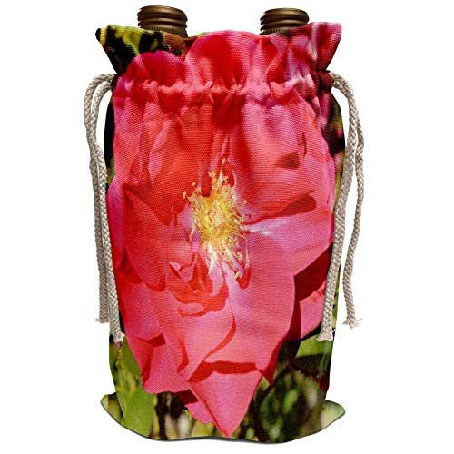 3dRose Patricia Sanders Flowers - Pretty Pink Garden Rose- Autumn Photography - Wine Bag  wbg_38529_1