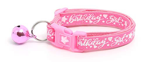 Pugs2Persians Birthday Girl on Bright Pink Cat Collar - Safety - Breakaway - Charm and Bell Pugs2Persians Birthday Girl on Bright Pink Cat Collar - Safety - Breakaway - Charm and Bell