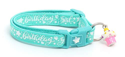 Pugs2Persians Birthday Girl on Aqua Cat Collar - Safety - Breakaway - Charm and Bell Pugs2Persians Birthday Girl on Aqua Cat Collar - Safety - Breakaway - Charm and Bell