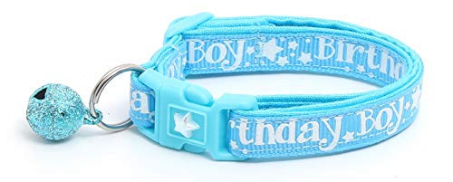 Pugs2Persians Birthday Boy on Blue Cat Collar - Safety - Breakaway - Charm and Bell Pugs2Persians Birthday Boy on Blue Cat Collar - Safety - Breakaway - Charm and Bell