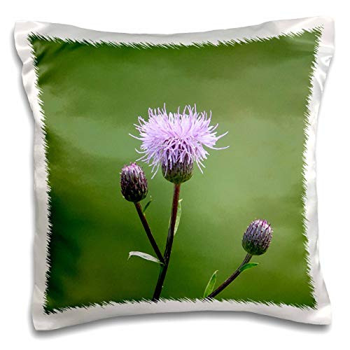 3dRose Closeup view of a pale purple thistle flower smooth green. - Pillow Cases  pc_339912_1
