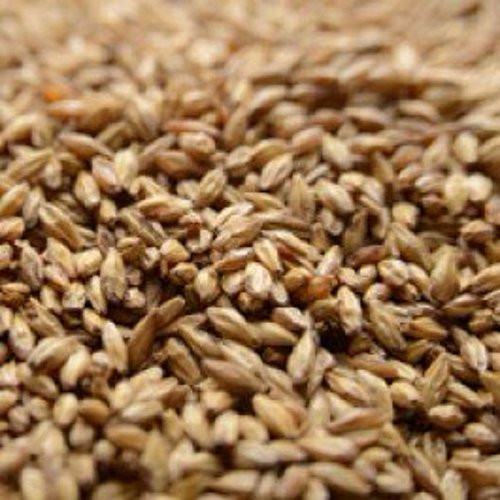 Briess Carapils Crushed Malt 5 lb