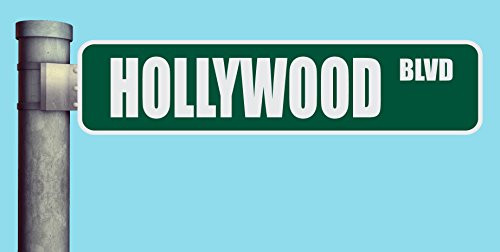 HOLLYWOOD BLVD STREET SIGN BOULEVARD HEAVY DUTY ALUMINUM ROAD SIGN 17 inch  x 4 inch