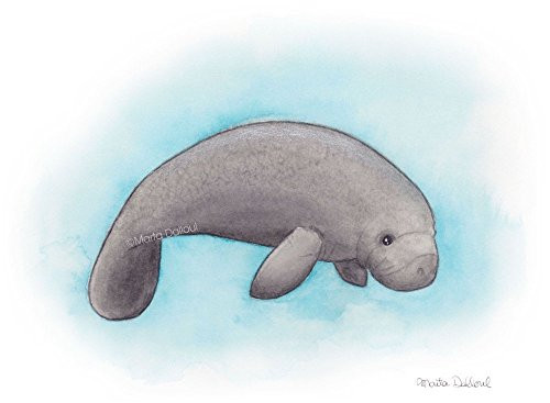 Manatee art print. Under the Sea nursery art. Baby manatee watercolor painting. Ocean nursery decor. Nautical kids room art decor. Manatee art print. Under the Sea nursery art. Baby manatee watercolor painting. Ocean nursery decor. Nautical kids room art decor.